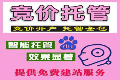 提升广告效果的关键：sem优化托管的实践案例